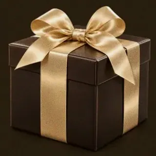 Wrapped gift box — Royal Reels